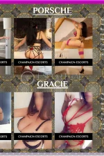 Escort Chloe - York 16
