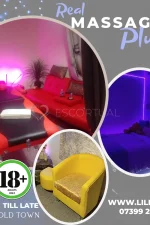 Independent TS-escort Lilly Best - Kingston upon Hull 15