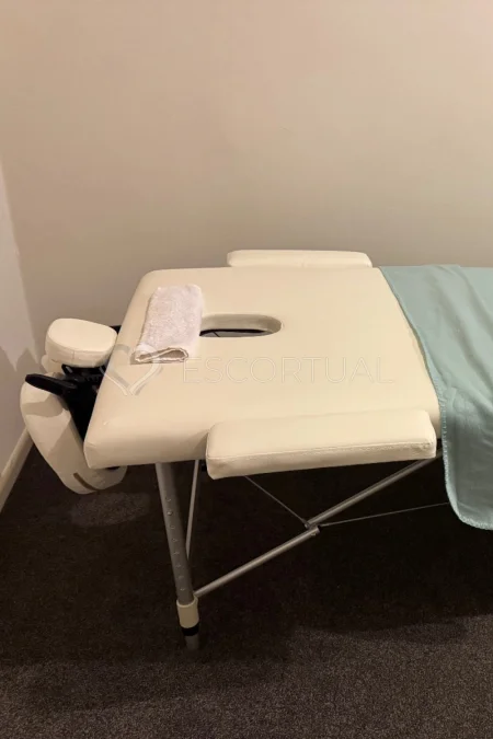 Escort Professional massage - Palmerston North 3