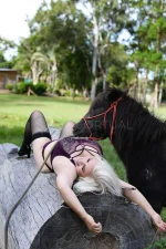 Independent DOMINATRIX - Mistress D. - 0412971531 5